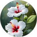 pradeep K. profile picture